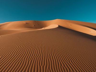 zoon valérie crevel