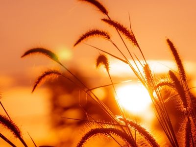 entretien individuel psychocoach Val de reuil